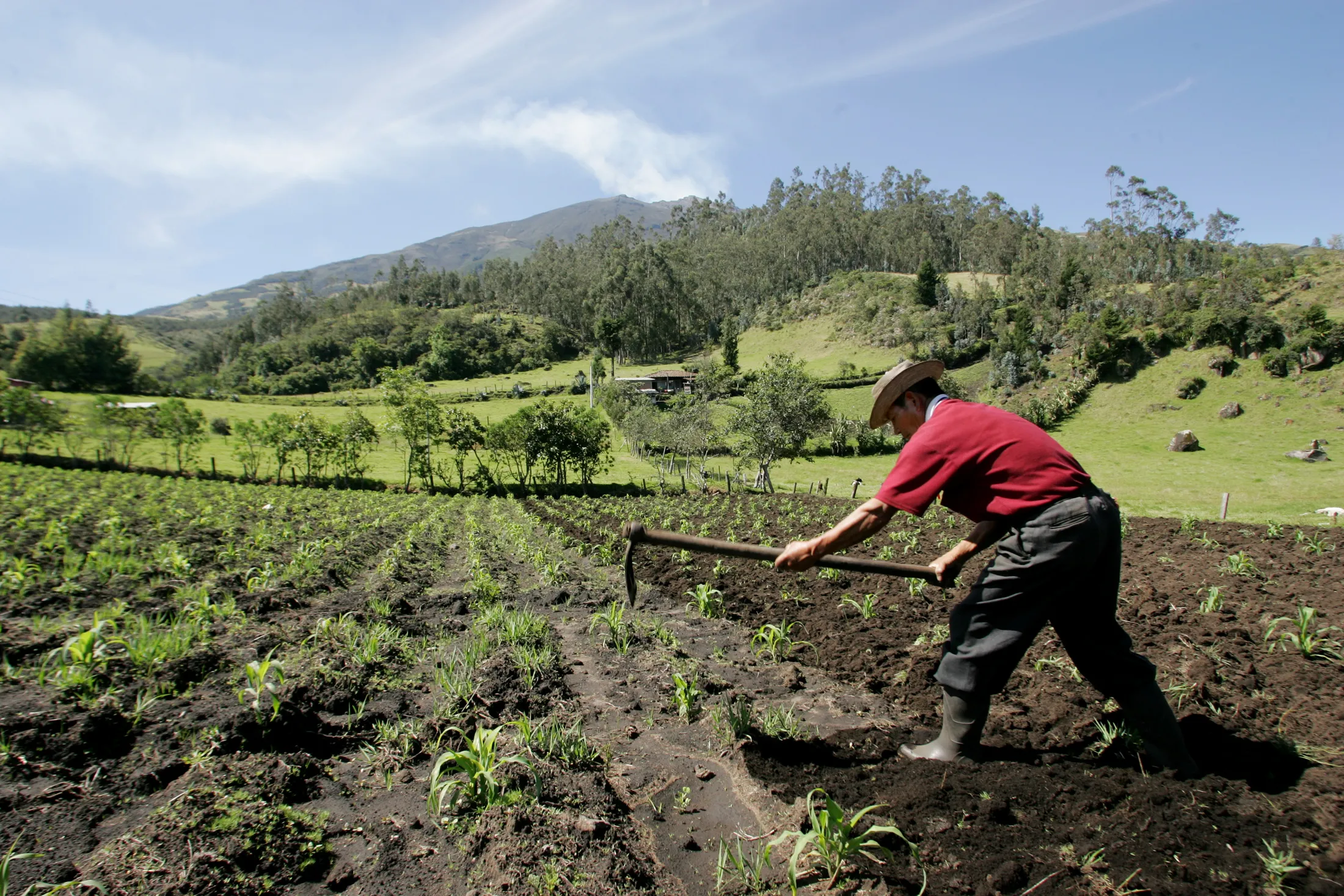 La pace fra gli esseri umani comincia dall'alimentazione ?