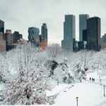 Qualità della vita inquinamento clima sicurezza: meglio Londra o New York ?