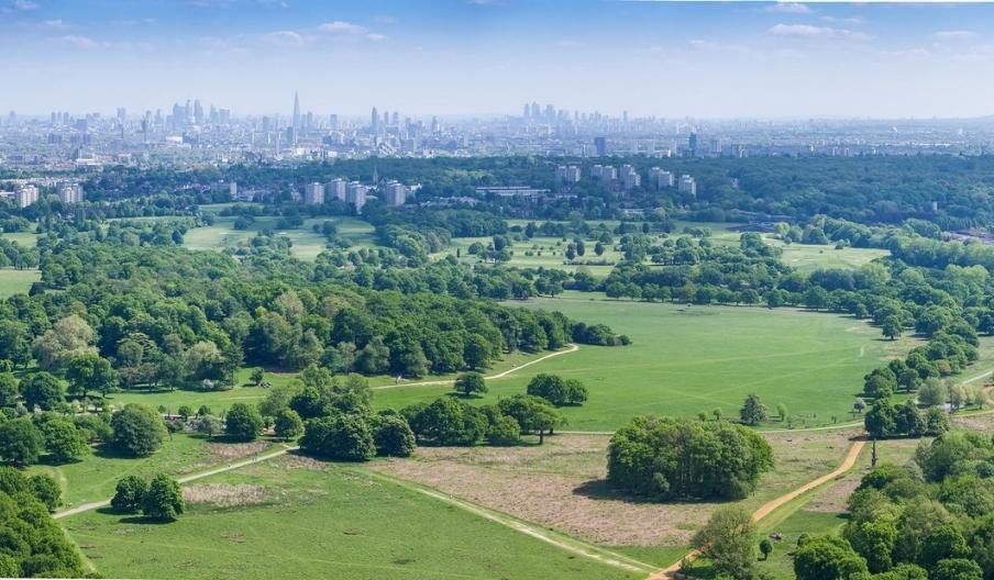 Qualità della vita inquinamento clima sicurezza: meglio Londra o New York ?