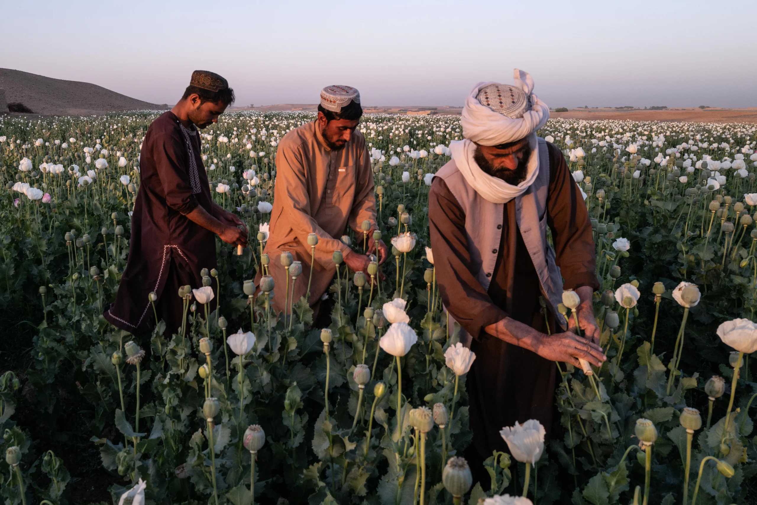 Guerra al narcotraffico? Si ma é urgente farla sul serio