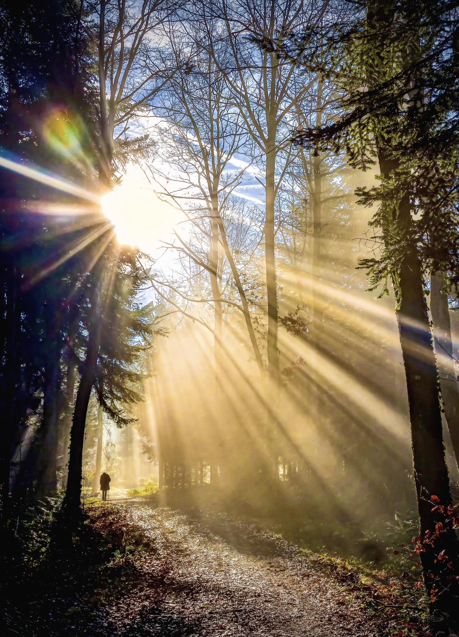 Le foto più belle postate sui social/76