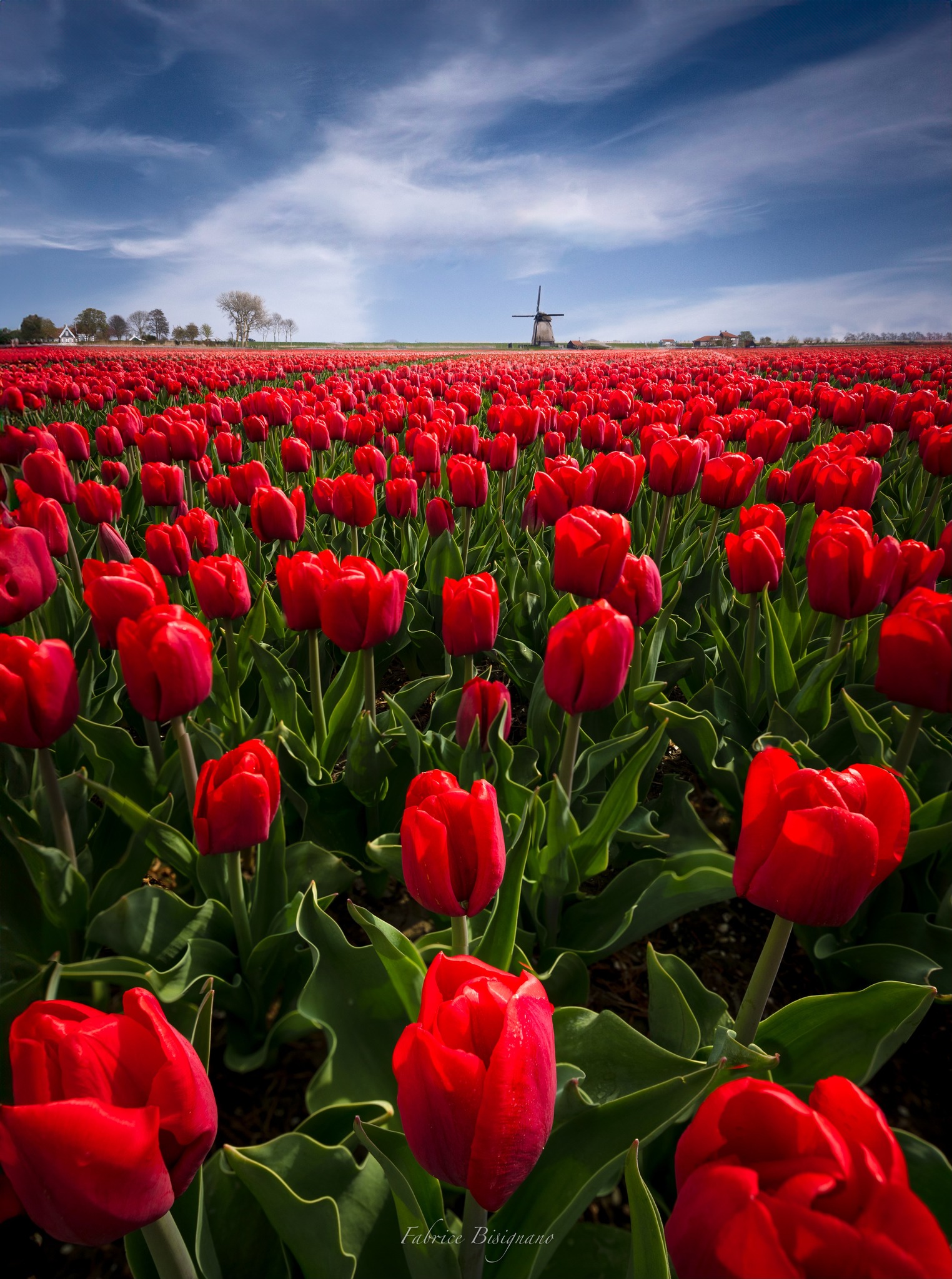 Le foto più belle postate sui social/77