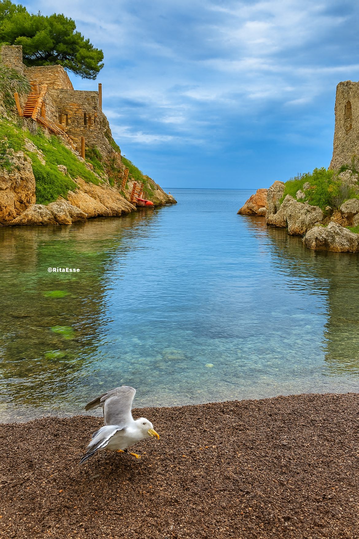 Le foto più belle postate sui social/77