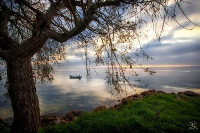 Le foto più belle postate sui social/76