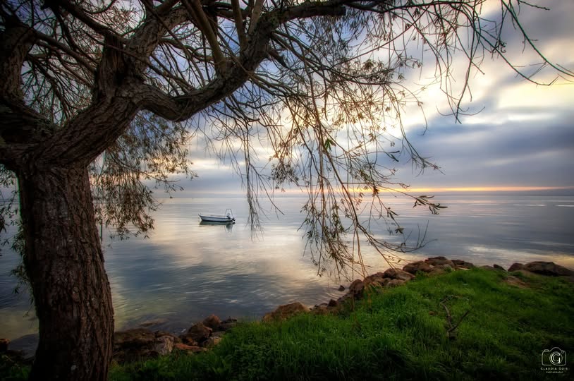 Le foto più belle postate sui social/76