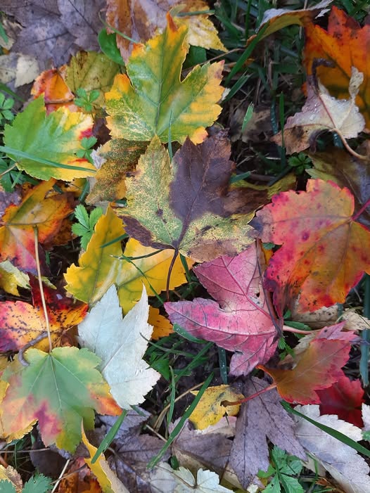 Le foto più belle postate sui social/76