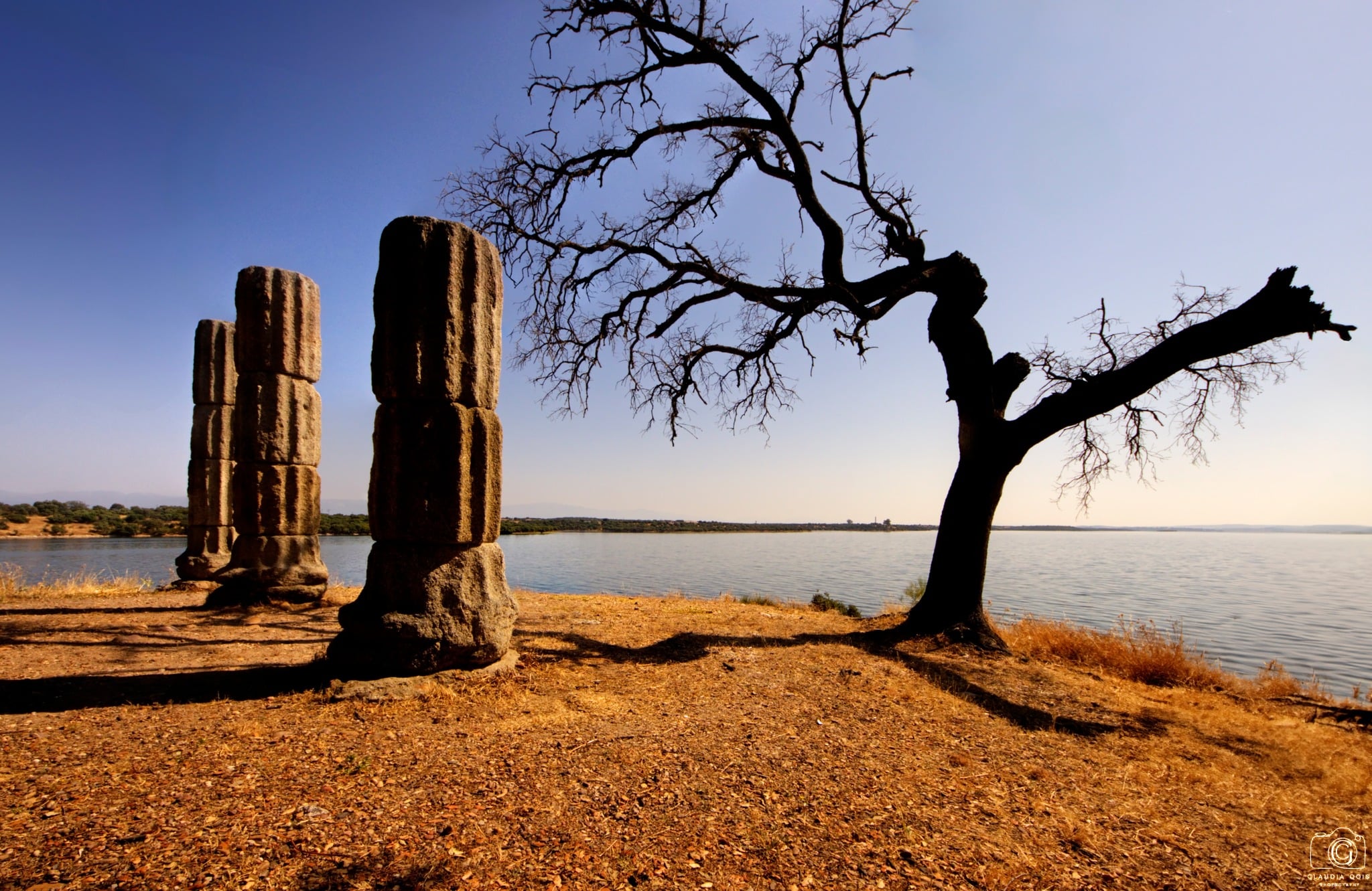 Le foto più belle postate sui social/76