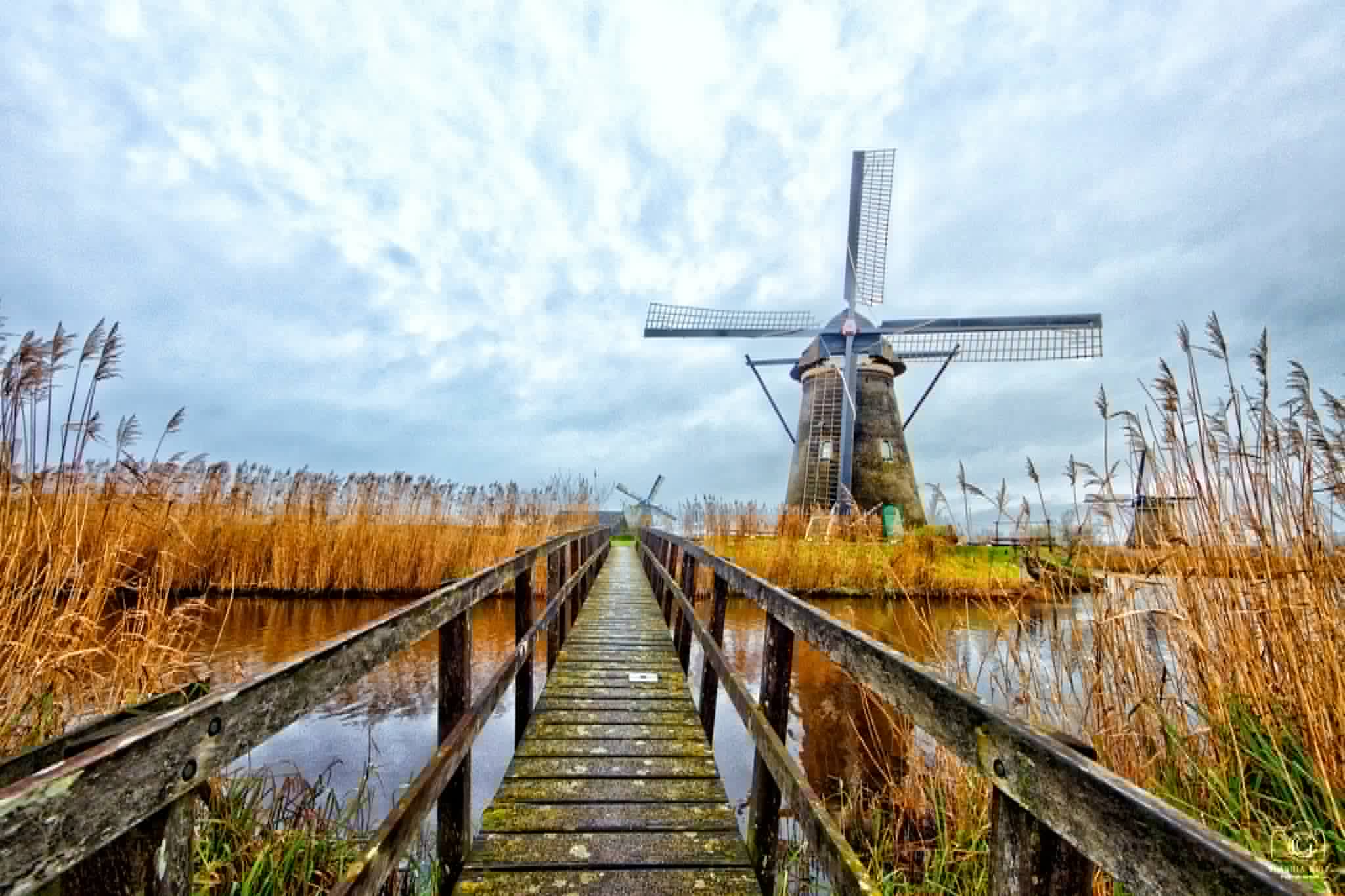 Le foto più belle postate sui social/76