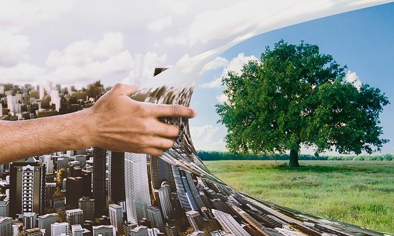 Recensione del saggio che teorizza come solo la compenetrazione tra spiritualità e scienza può scongiurare l’ecocidio del Pianeta