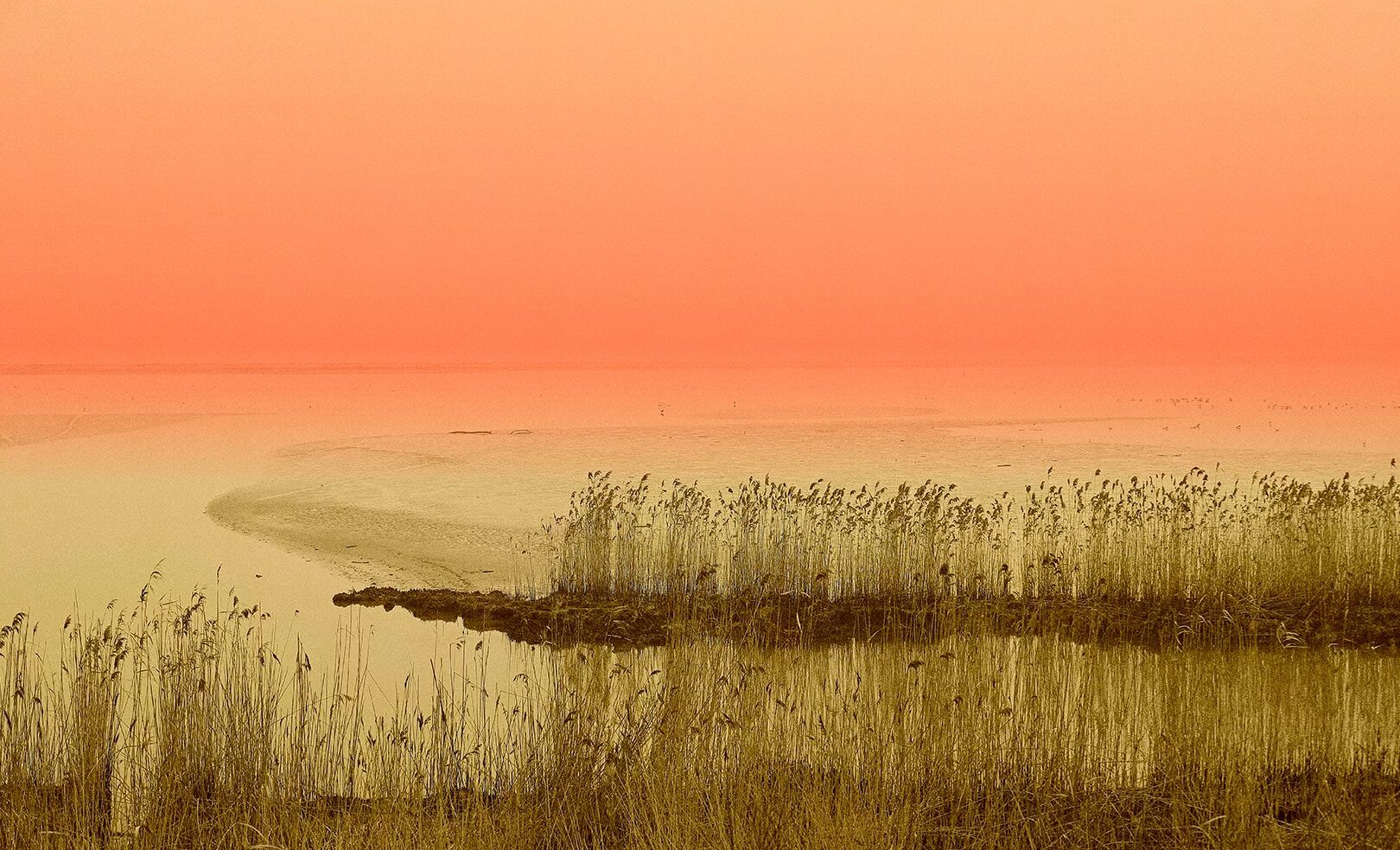 Le foto più belle postate sui social/ 78