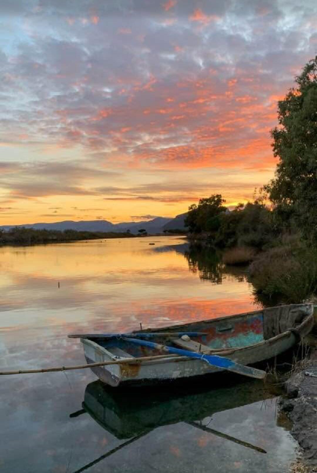 Le foto più belle postate sui social/ 78