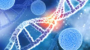 Lezioni di longevità: tutti i segreti degli ultra centenari