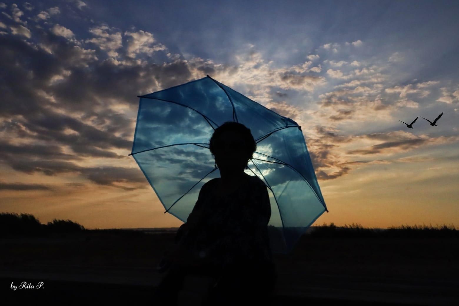 Le foto più belle postate sui social / 79