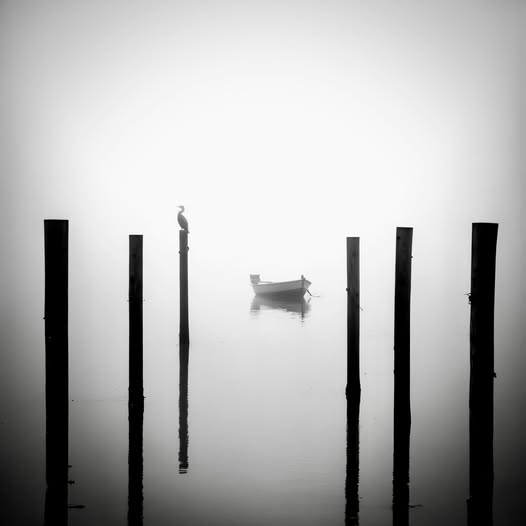 Le foto più belle postate sui social / 79