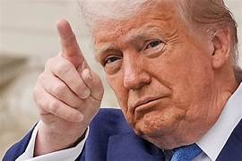 Il diario delle quotidiane sbroccate di Trump