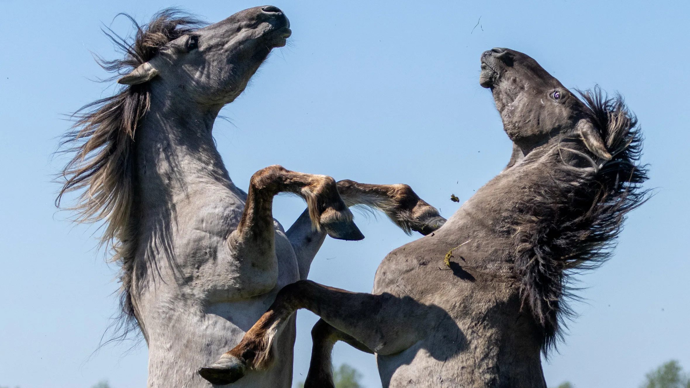 Le foto più belle postate sui social / 79