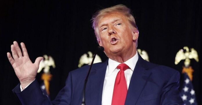 Il diario delle quotidiane sbroccate di Trump