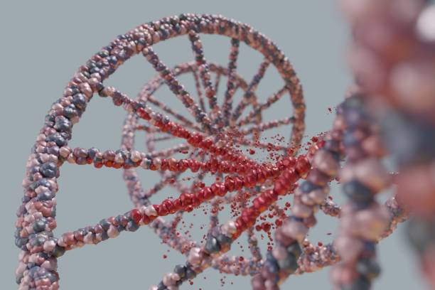 Genomic generation: sequenziare il DNA dei neonati oppure no?