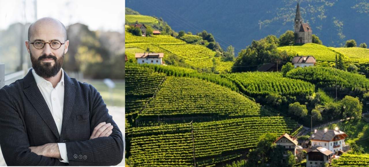 Vendemmia anticipata da Nord a Sud annata di qualità