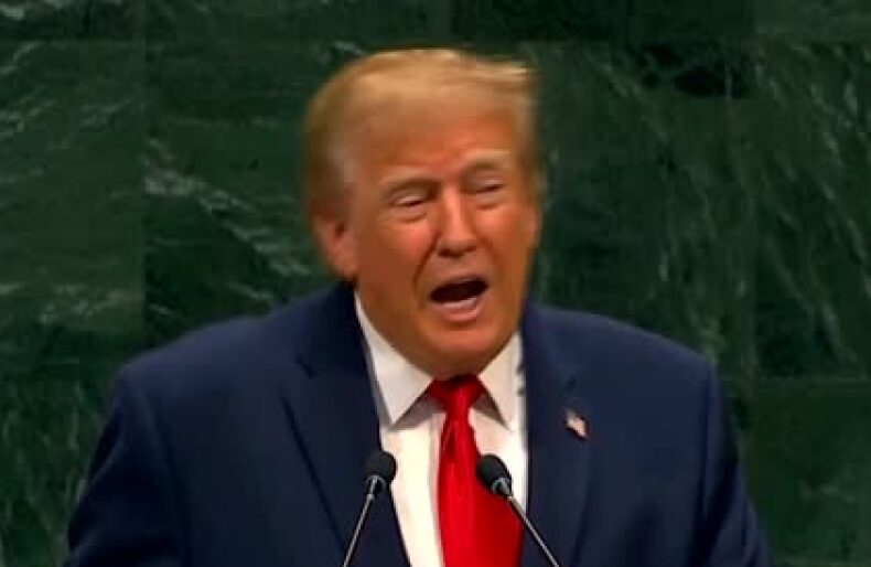 All’Onu il solito Trump ma gli applausi sono tutti per la First Lady Melania
