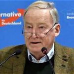 Tsunami elettorale Afd : Germania sull'orlo del precipizio neo nazista
